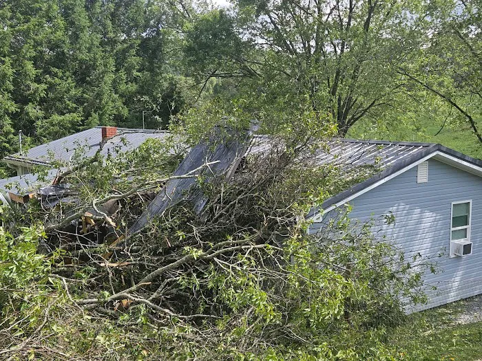 Dryforce Resoration Picture 6