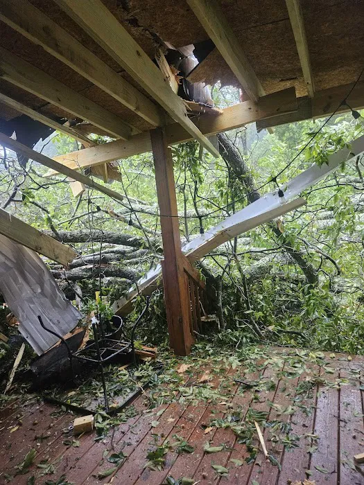 Dryforce Resoration Picture 4