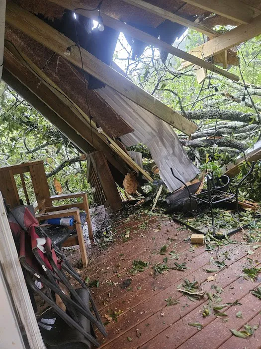 Dryforce Resoration Picture 1