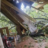 Dryforce Resoration ico