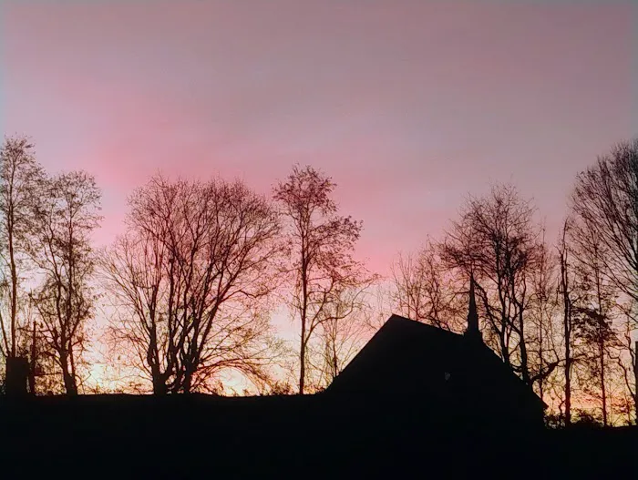 BELFOR Property Restoration Picture 7