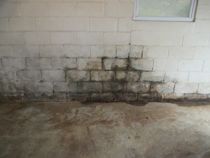 Go Dry Waterproofing Picture 10