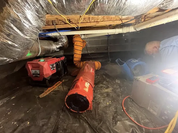 Spotless Cleaners & Restoration Picture 7