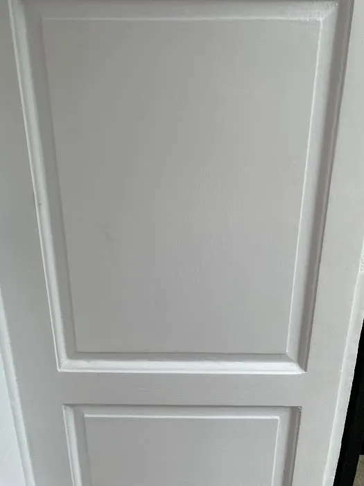 Toro Painting & Remodeling Inc Picture 7