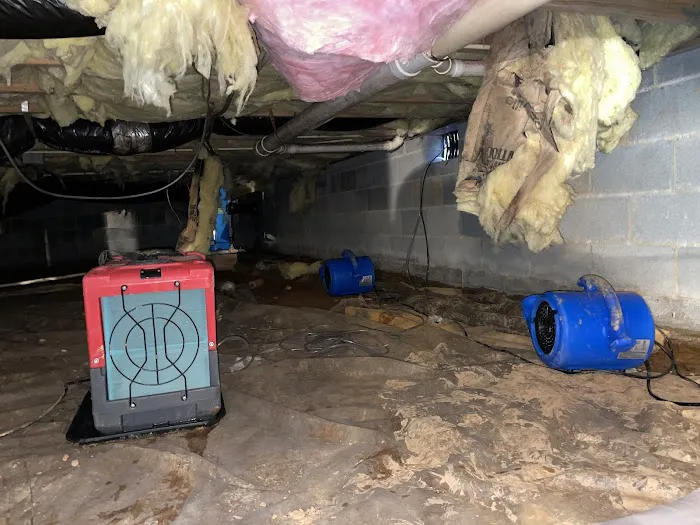 Home Again Picture 10