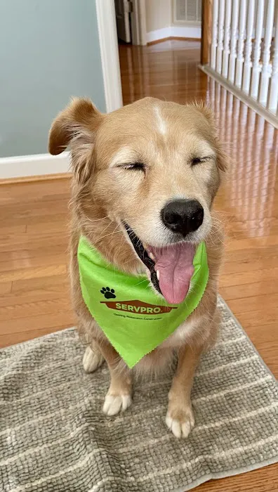 SERVPRO of Alexander, Caldwell, Burke and Catawba Counties Picture 2