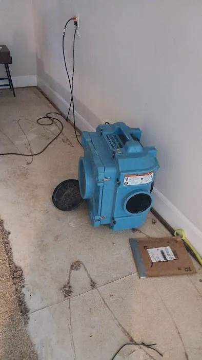 Elements Of Restoration Picture 3