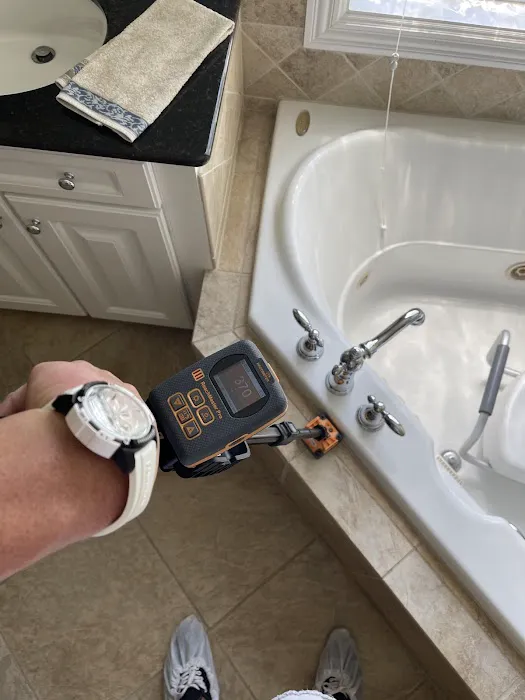 Elements Of Restoration Picture 5