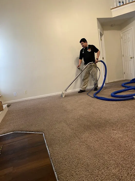 COIT Cleaning and Restoration Picture 7