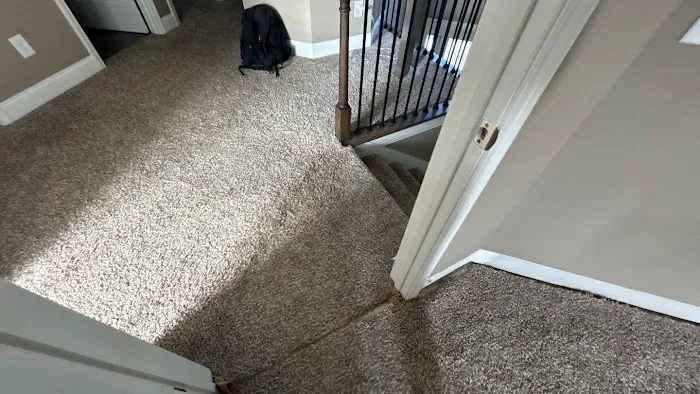 Water Damage Pros TN Picture 5