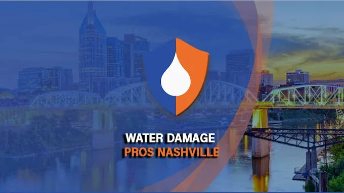 Water Damage Pros TN Picture 1