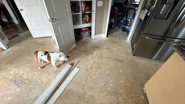 Water Damage Pros TN Picture 8