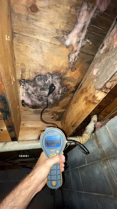 Water Damage Pros TN Picture 9