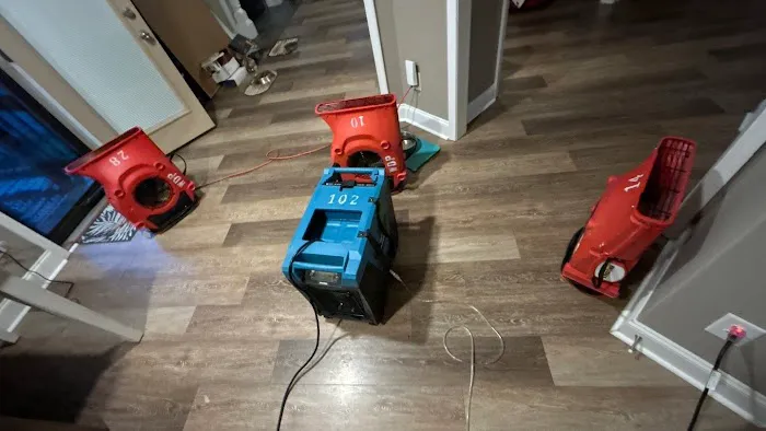 Water Damage Pros TN Picture 10