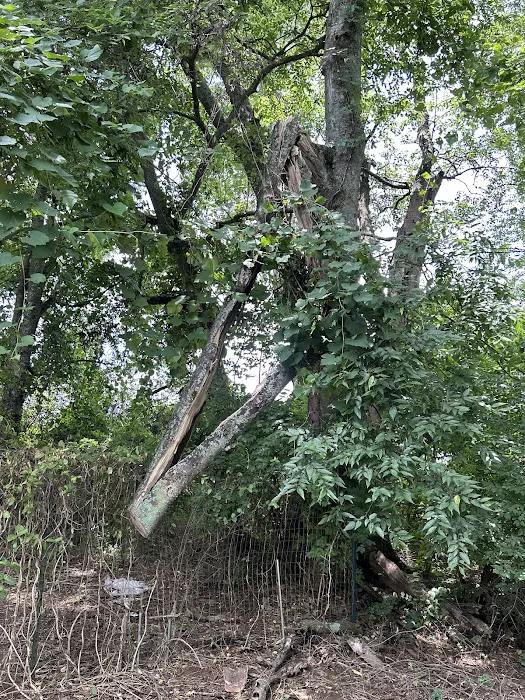 Southeast Restoration of Nashville Picture 5