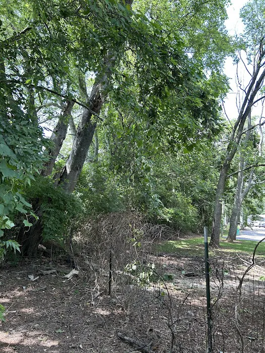 Southeast Restoration of Nashville Picture 9