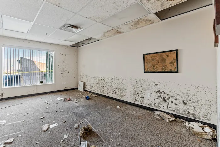 Commercial Restoration Company Picture 8