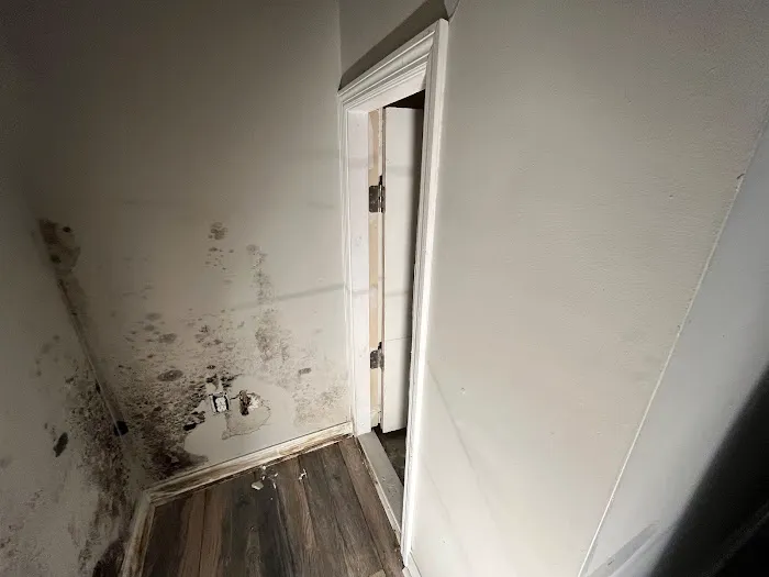 Best Option Restoration SE Nashville Picture 1