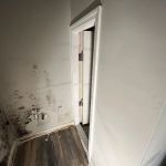 Best Option Restoration SE Nashville