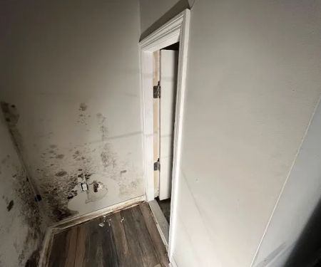 Best Option Restoration SE Nashville