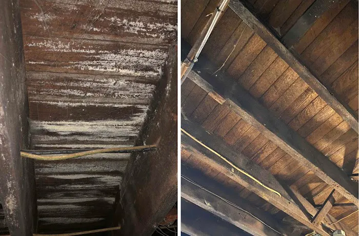 Best Option Restoration SE Nashville Picture 9