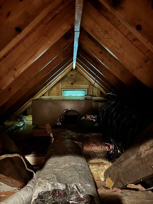 Servpro Industries LLC Picture 9