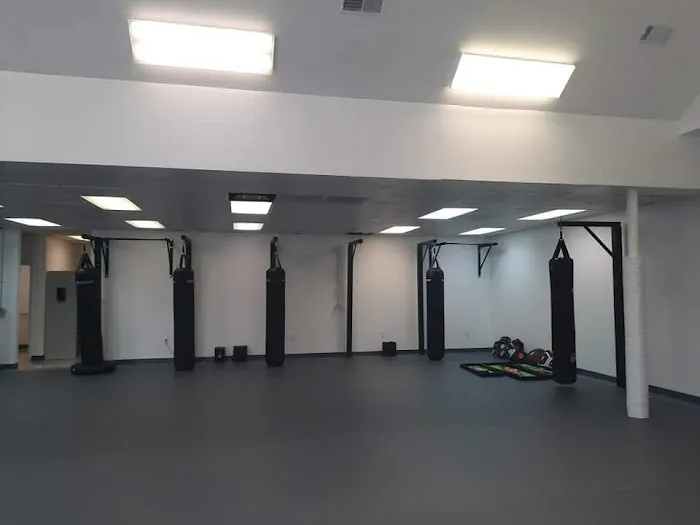 Accurate Paint Tn Picture 5