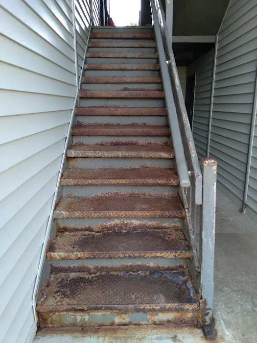 Accurate Paint Tn Picture 4