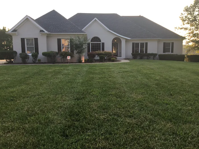 Glenn Wynne Paint & Wallpaper Picture 2