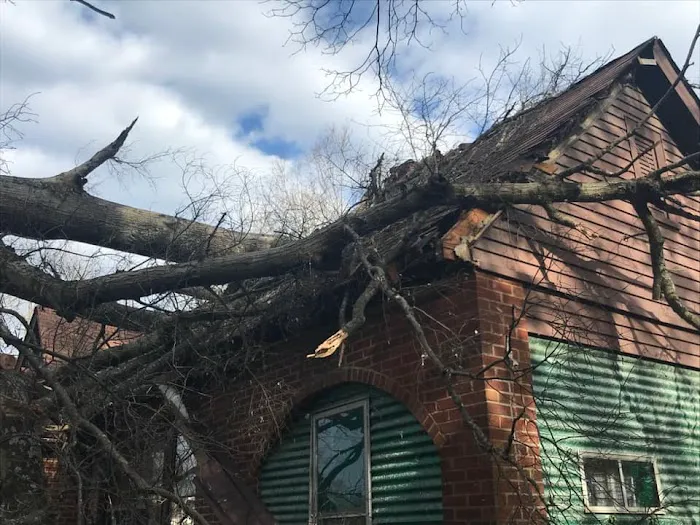 Emergency Restoration Xperts (ERX) Picture 2