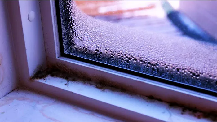 Remodela Mold Picture 1