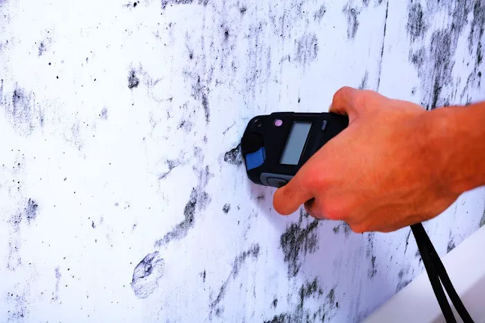 Remodela Mold Picture 5