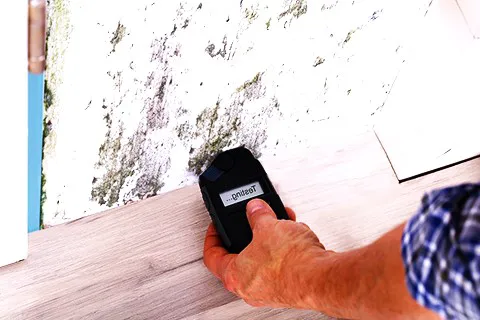 Remodela Mold Picture 4