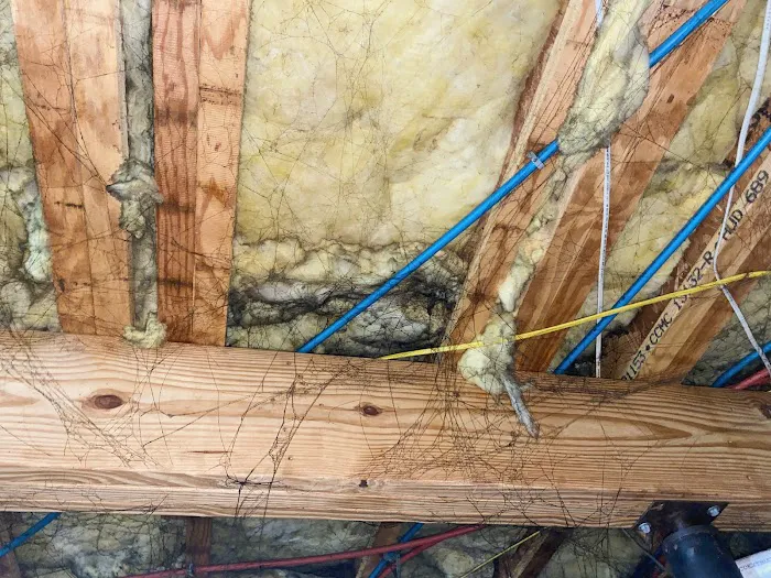 Blue Chip Picture 10