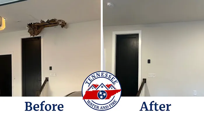 Tennessee Water and Fire Picture 7