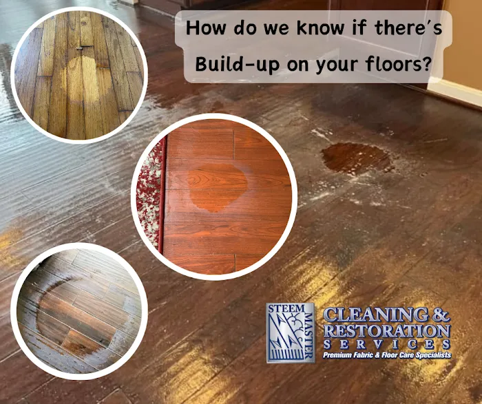 Steem Master Carpet Cleaner Picture 3