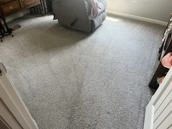 Steem Master Carpet Cleaner Picture 5
