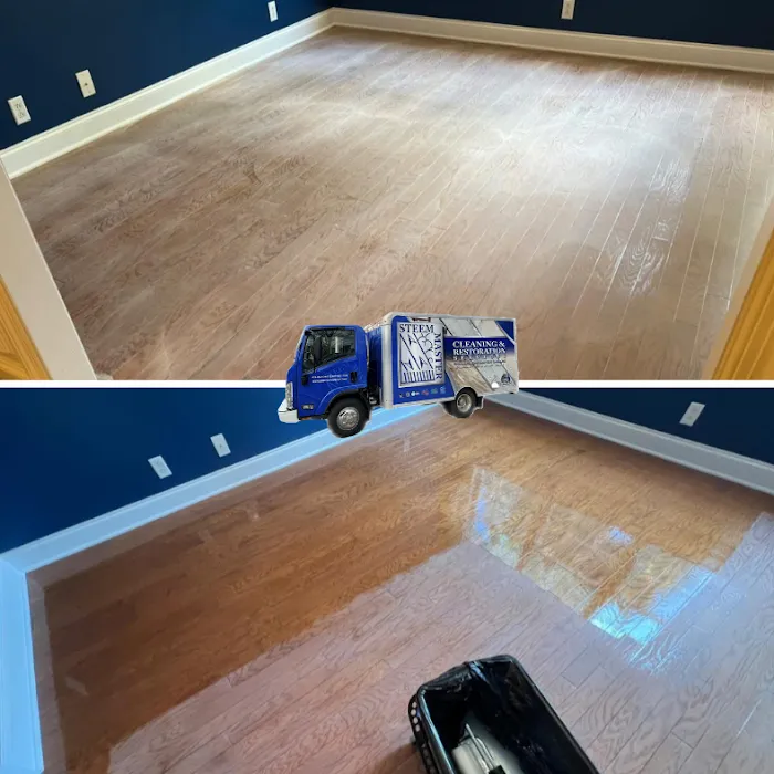 Steem Master Carpet Cleaner Picture 9