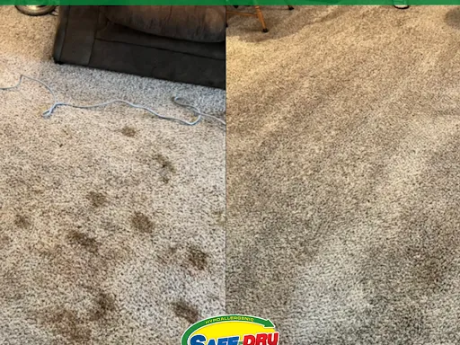 Safe-Dry Carpet Cleaning of Murfreesboro Picture 3
