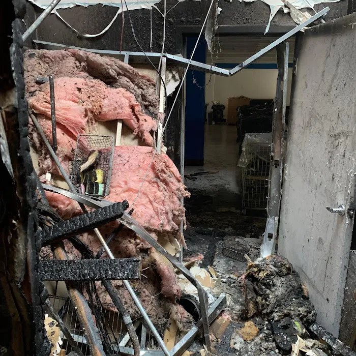 SERVPRO of Wilson County Picture 6