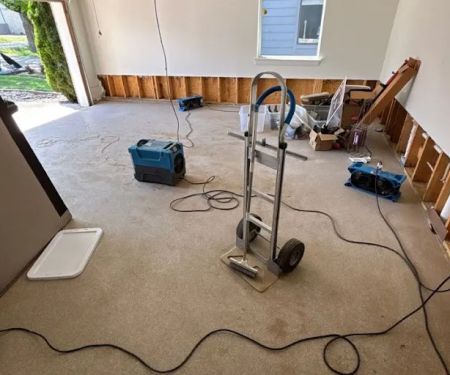 Hannah Restoration, LLC