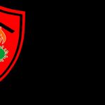 Southwest Emergency Restoration LLC