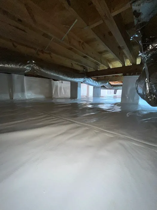 Nelon-Cole Moisture & Water Control Picture 1