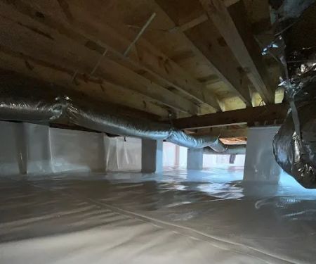 Nelon-Cole Moisture & Water Control