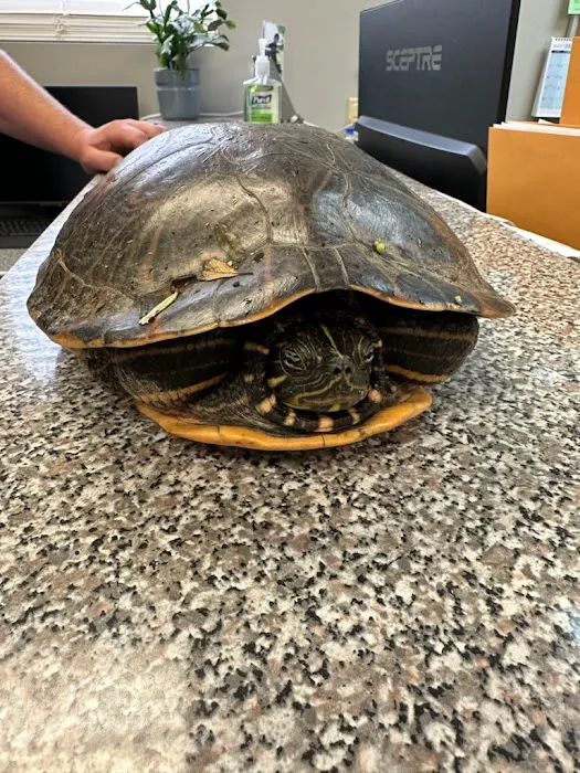 Nelon-Cole Moisture & Water Control Picture 9