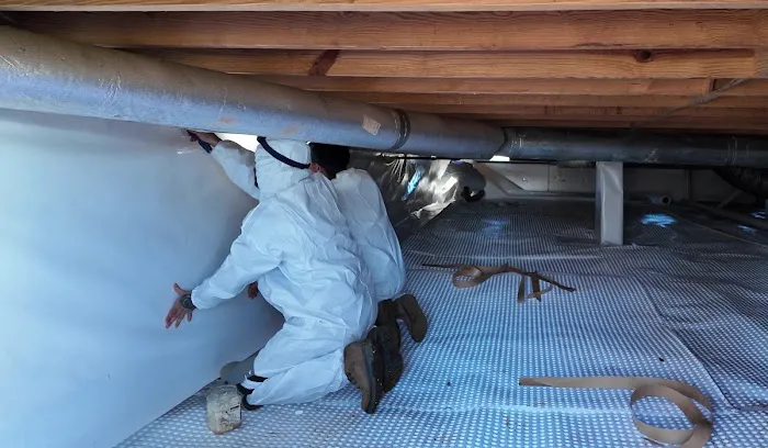 Nelon-Cole Moisture & Water Control Picture 8