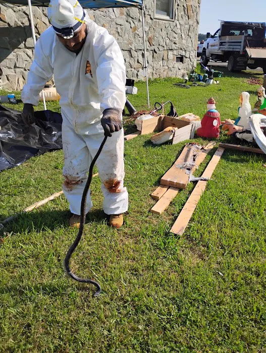 Nelon-Cole Termite & Pest Control Picture 3