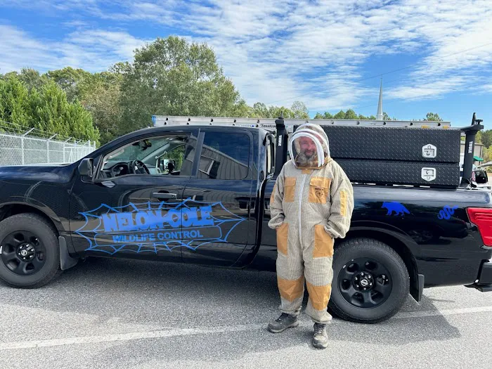 Nelon-Cole Termite & Pest Control Picture 6