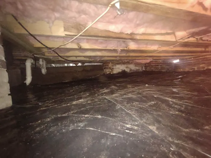 The CrawlSpace King Picture 2