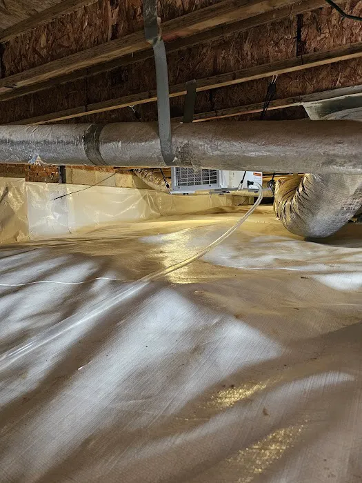 The CrawlSpace King Picture 1